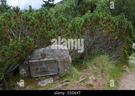 Pancava meadow, Zlate navrsi, Pancava waterfall, Krkonose National Park, Giant Mountains National Park, Czech Republic Stock Photo