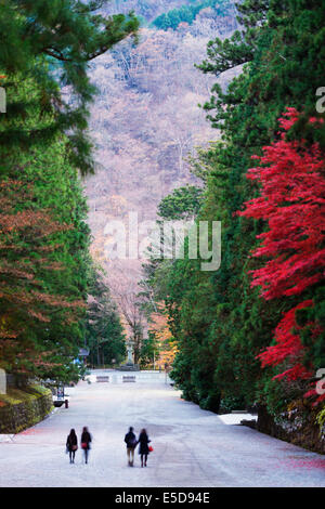 Asia, Japan, Honshu, Tochigi Prefecture, Nikko shrine; Unesco World Heritage site, autumn colours Stock Photo