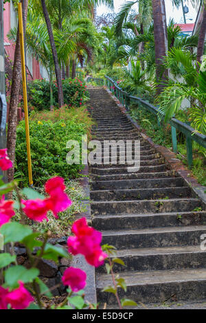 99 Steps in Charlotte Amalie on the Caribbean island of St Thomas in the US Virgin Islands Stock Photo