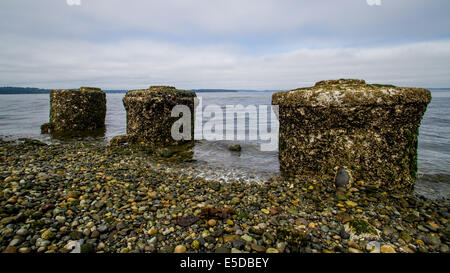 Three Old Pilings Standing on the Shore of Puget Sound Stock Photo