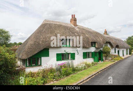 Row of pretty whitewashed terraced thatched cottages with green windows and shutters, in Great Bedwyn, a village in Wiltshire Stock Photo