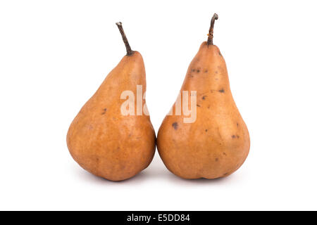 Bosc Pears Stock Photo