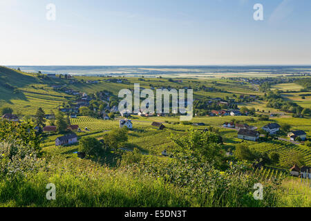 Austria, Burgenland, Oberwart District, Eisenberg an der Pinka, Vineyard Stock Photo