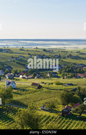 Austria, Burgenland, Oberwart District, Eisenberg an der Pinka, Vineyards Stock Photo