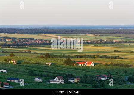 Austria, Burgenland, Oberwart District, Eisenberg an der Pinka, Vineyards, in the background Village Horvatloevoe in Hungary Stock Photo