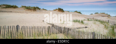 Panorama landscape of sand dunes system on beach at sunrise Stock Photo