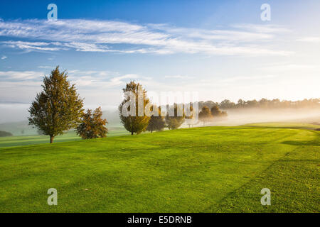 On the empty golf course in the morning mist Stock Photo