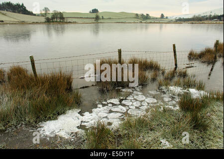 Ice on lake in winter, Powys, Wales Stock Photo