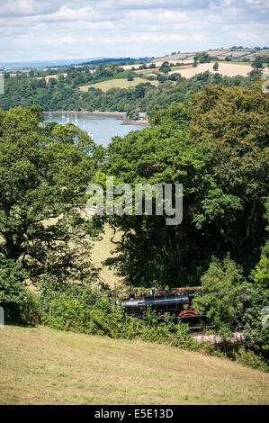 Steam train at Greenway halt railway station,river dart,cows in fields at greenway,Agatha christie,river Dart,clouds, craft, cre Stock Photo