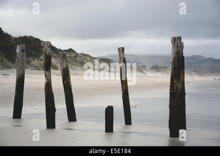 Old pier of St Clair Beach on a stormy day, Dunedin, New Zealand Stock Photo