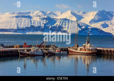 Whale-watching schooners in Husavik harbor and mountains in the background Stock Photo