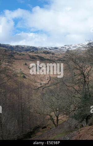 Drystone walls Far Easedale and Grasmere Common from the slopes of Helm Crag Easedale Grasmere Lake District Cumbria England Stock Photo