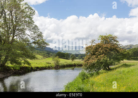 Pretty summer view towards the Langdales as the River Brathay flows from Elterwater, Lake District, Cumbria, UK Stock Photo