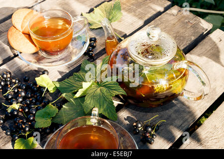 blackcurrant tea party: black currant tea in cups and teapot with green currant leaves and  berries all around on wooden desks Stock Photo
