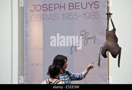 Santiago, Chile. 29th July, 2014. Visitors watch a work during the exposition 'Joseph Beuys. Obras 1955-1985', of German artist Joseph Beuys, at the Contemporary Art Museum (MAC, for its acronym in Spanish), in Santiago, capital of Chile, on July 29, 2014. © Jorge Villegas/Xinhua/Alamy Live News Stock Photo