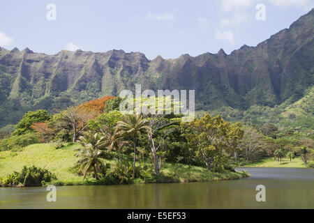 Hoomaluhia Botanical Garden with the Pali in the background  Oahu,Hawaii Stock Photo