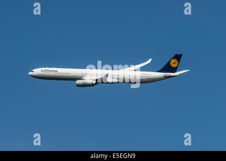 Airbus A 340-600 of Lufthansa taking off from Frankfurt Airport, Frankfurt am Main, Hesse, Germany Stock Photo