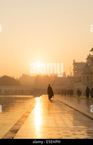 A pilgrim in morning light at the Golden Temple in Amritsar, Punjab, India Stock Photo