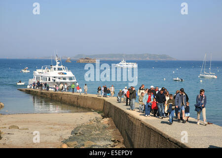 France, Bretagne, cotes d'armor, cote de granit rose, les sept iles, croisiere aux sept iles, depart de perros guirec, Stock Photo