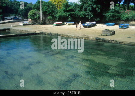 France, Bretagne, finistere sud, cornouaille, riec sur belon, parc a huitres, ostreiculture, gastronomie, Stock Photo