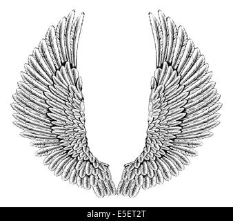 An illustration of a pair of angel or eagle wings spread Stock Photo