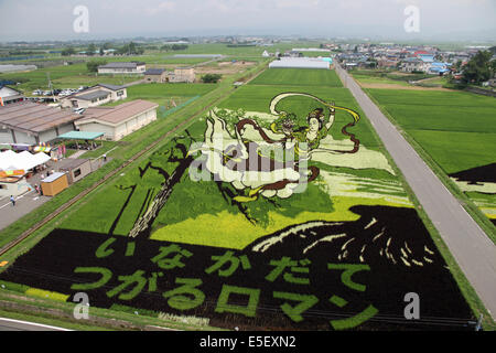 rice field art Inakadate Village Observatory, in Aomori, Japan Stock ...