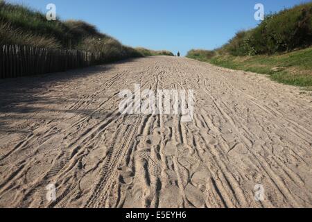 France, Basse Normandie, calvados, plages du debarquement, ouistreham riva bella, plage, sable, chemin, dunes, oyats, Stock Photo