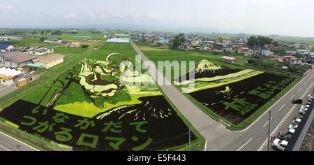 Rice paddy art on display in Inakadate Village in Aomori Prefecture on ...