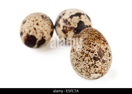 Three quail eggs on a white background Stock Photo
