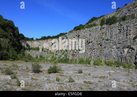The Old Limestone Quarry at Warton Crags Nature Reserve, Lancashire, UK Stock Photo