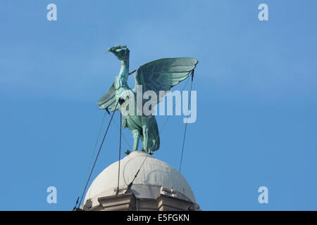 Liverpools iconic Liverbird statue on top of the clock tower of the Royal Liver Building. Stock Photo