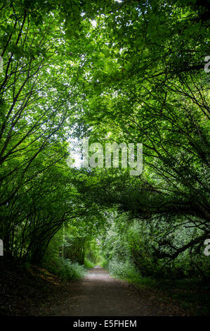 A view along the Nickey Line in Redbourn, UK Stock Photo - Alamy