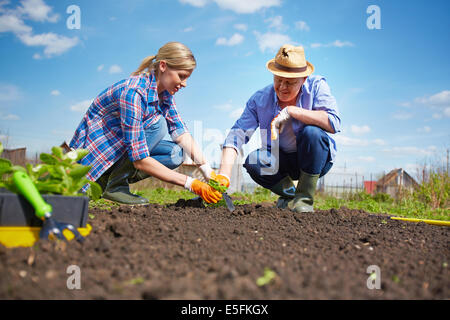 Image of couple of farmers seedling sprouts in the garden Stock Photo