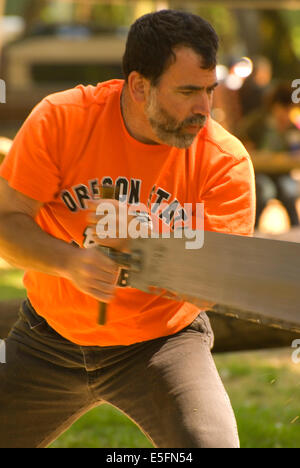 Double Sawing, Linn County Loggers' Jamboree, Linn County Pioneer Picnic, Brownsville, Oregon Stock Photo