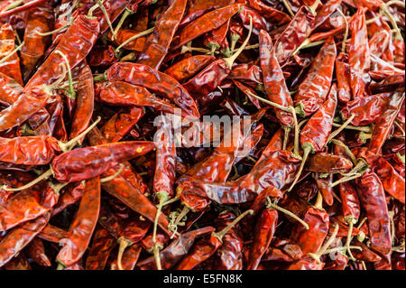 Red chillies Stock Photo