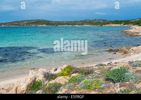 Beach in Caprera island, La Maddalena, Sardinia, Italy Stock Photo