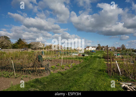 Allotment in Minchinhampton, Gloucestershire, UK Stock Photo