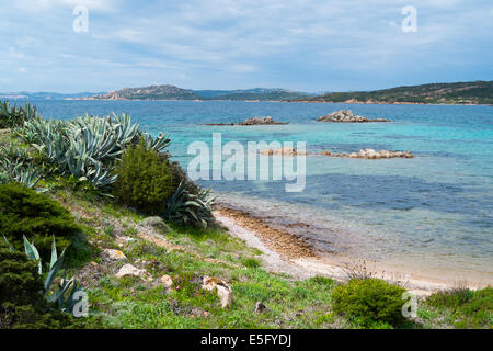 Beach in Caprera island, La Maddalena, Sardinia, Italy Stock Photo