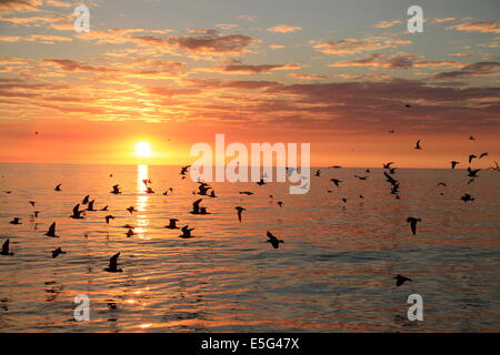 Perfect Sunset Stock Photo