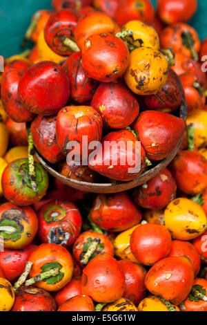 Choco is one of the thirty-two departments of Colombia, is located in the country, in the northwest of the Colombian Pacific. Un Stock Photo