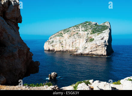 Foradada island at Capo Caccia cliff close to Alghero, Sardinia, Italy Stock Photo