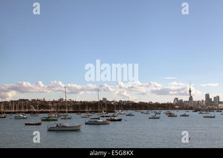 Mission Bay Auckland New Zealand Stock Photo