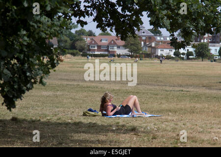Wimbledon London, UK. 31st July 2014. Weather:   A woman sunbathes by a tree on Wimbledon common on the last day of one of the hottest July month on record with the heatwave expected to end  as the Met office has warned rain forecast for August Credit:  amer ghazzal/Alamy Live News Stock Photo