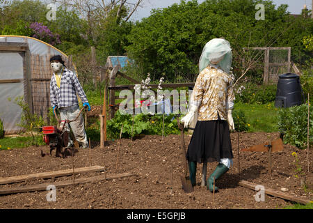 Scarecrows on allotment in England Stock Photo