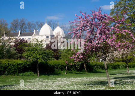 The Regent's Park in spring with blossom on trees and John Nash's Sussex Place terrace on the Outer Circle London England UK Stock Photo