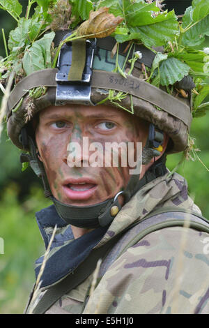 A British Army Royal Military Academy Sandhurst cadet participates in a leadership development training at the 7th Army Joint M Stock Photo