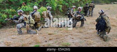 U.S. Marines with a special operations team medically evacuate Naval Aircrewman 3rd Class Zachary Faltys, assigned to Helicopte Stock Photo