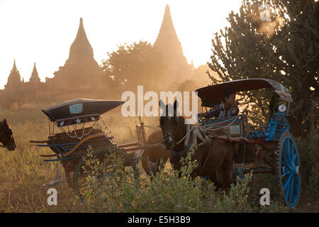 Carriage drivers rest in the shade of a cactus by temples of Bagan, Myanamar (Burma) Stock Photo