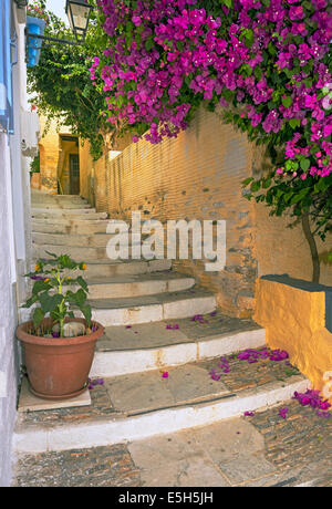 A picturesque uphill cobbled path in the traditional medieval settlement of Ano Syros (Chora) in Syros island, Cyclades, Greece Stock Photo