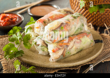 Healthy Vegetarian Spring Rolls with Cilantro Carrots and Cabbage Stock Photo